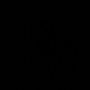 Meet your Posher, Jaden